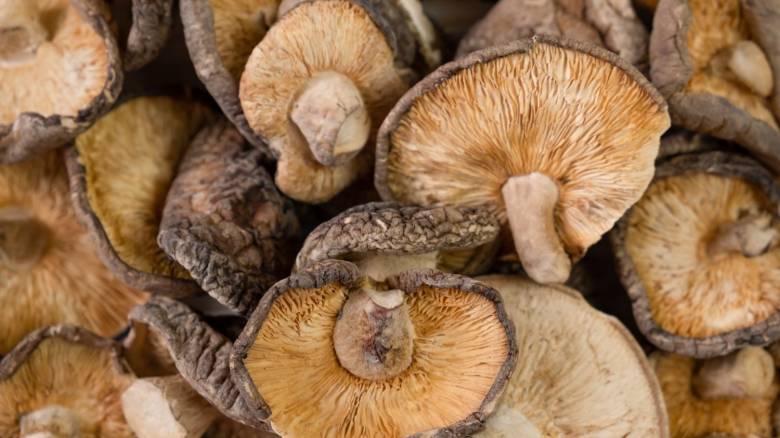 Έδεσσα: Στην Ελλάδα αναμένεται να επιστρέψει το ζευγάρι που κατανάλωσε δηλητηριασμένα μανιτάρια