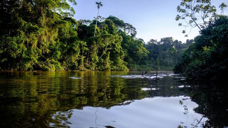 Βραζιλία: Δεκάδες ηγέτες από όλο τον κόσμο συναντώνται σήμερα στον Αμαζόνιο για το κλίμα