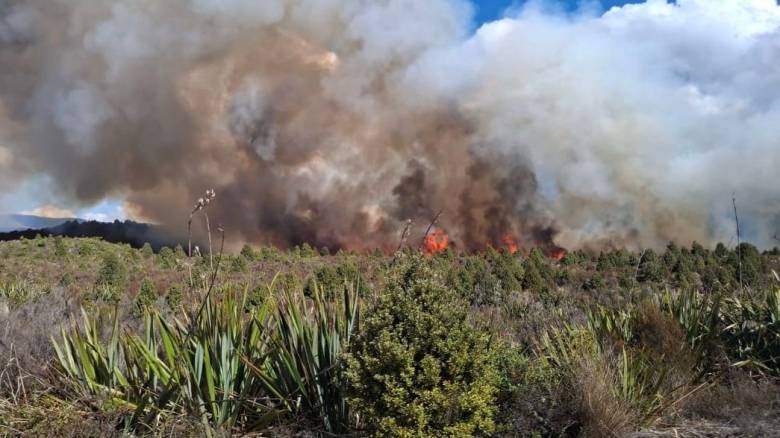 Μεγάλη πυρκαγιά σε εθνικό πάρκο της Νέας Ζηλανδίας - Στάχτη 11.000 στρέμματα