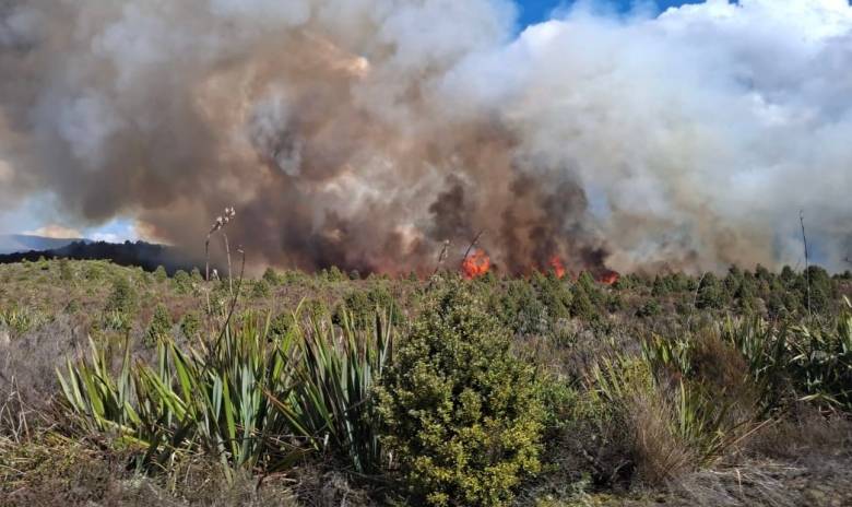 Νέα Ζηλανδία: Από τη βροχή έσβησε η πυρκαγιά που έκαιγε το παλαιότερο εθνικό πάρκο