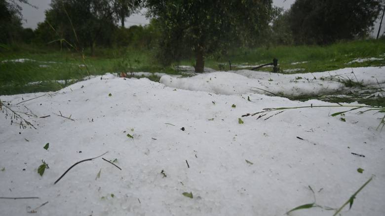 Σφοδρή χαλαζόπτωση στην Αργολίδα - Μεγάλες ζημιές σε καλλιέργειες