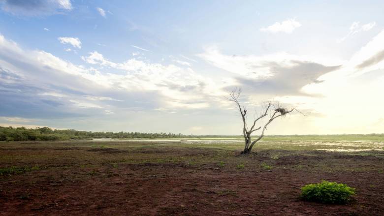 COP30: Ο Αμαζόνιος υποδέχεται τη διάσκεψη του ΟΗΕ για την Κλιματική Αλλαγή