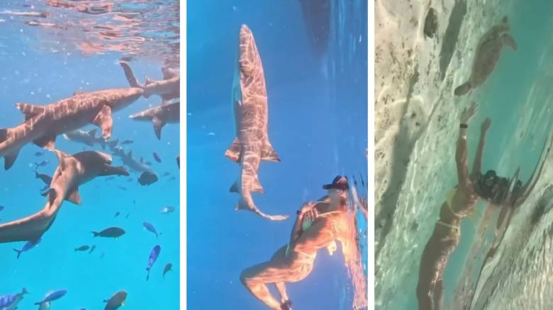 Η κορυφαία τενίστρια Αρίνα Σαμπαλένκα κολύμπησε «παρέα» με καρχαρίες στις Μαλδίβες