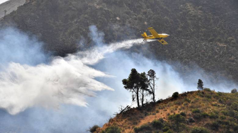 Αλγερία: Ο πρόεδρος Τεμπούν διατάσσει έρευνα για τα αίτια των πυρκαγιών