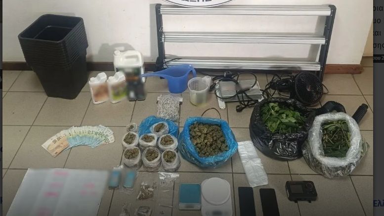 Καλαμάτα: Χειροπέδες σε 36χρονο που καλλιεργούσε φυτά κάνναβης