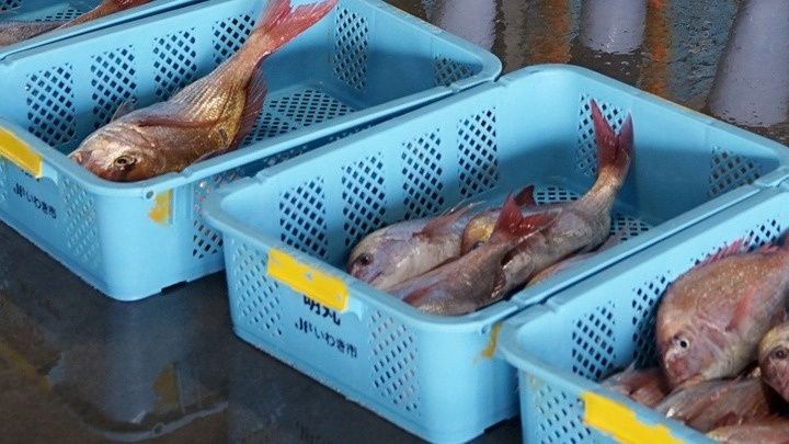 Διπλωματική ένταση ανάμεσα σε Ιαπωνία και Κίνα - Το Πεκίνο «παγώνει» τις εισαγωγές θαλασσινών