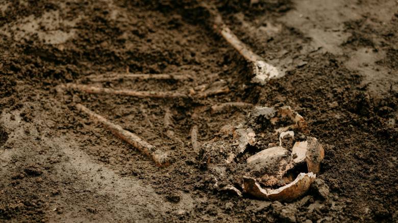 Ανθρώπινος σκελετός και αρχαίος αμφορέας βρέθηκαν στην Κάτω Αχαΐα - Οι πρώτες εκτιμήσεις