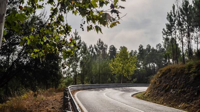 Κύμα αντιδράσεων στην Ιταλία για την οικογένεια που ζει μέσα στο δάσος