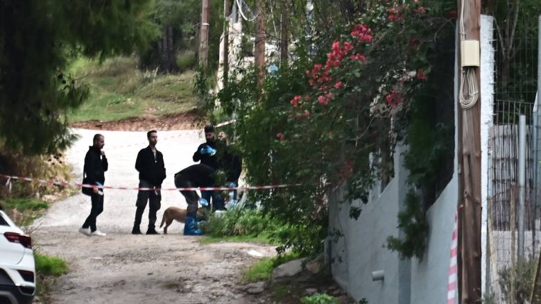 Σαλαμίνα: Κάμερα κατέγραψε την φρίκη των βασανιστηρίων που υπέστη η 75χρονη από τη νύφη της