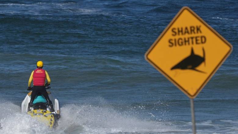 Αυστραλία: Μία νεκρή και ένας σοβαρά τραυματίας από επίθεση καρχαρία