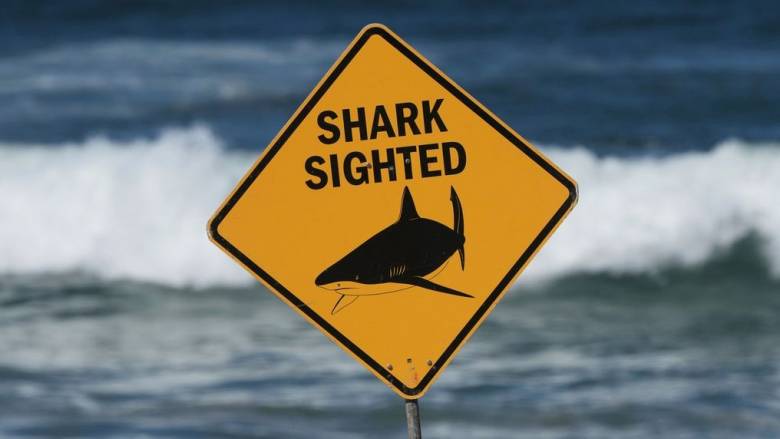 Αυστραλία: Ελβετίδα η νεαρή γυναίκα που έχασε τη ζωή της από επίθεση καρχαρία