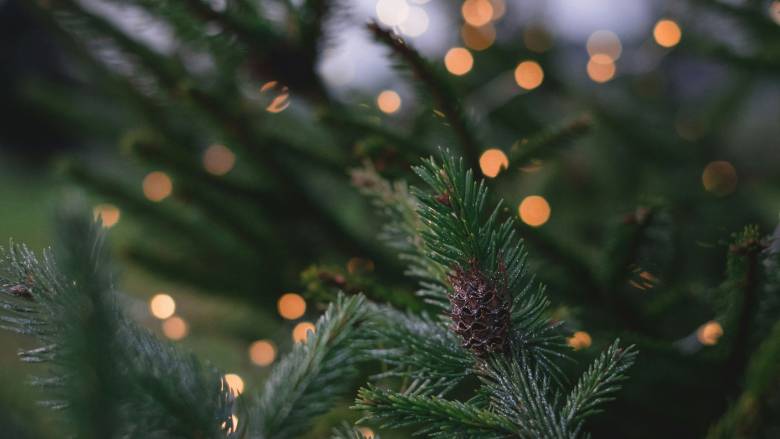 Φαντασμαγορικές Χριστουγεννιάτικες Εκδηλώσεις από το Δήμο Βάρης Βούλας Βουλιαγμένης