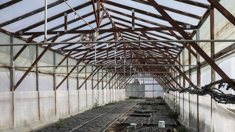 Απαγχονισμένος μέσα σε θερμοκήπιο βρέθηκε 31χρονος εργάτης γης στην Ηλεία