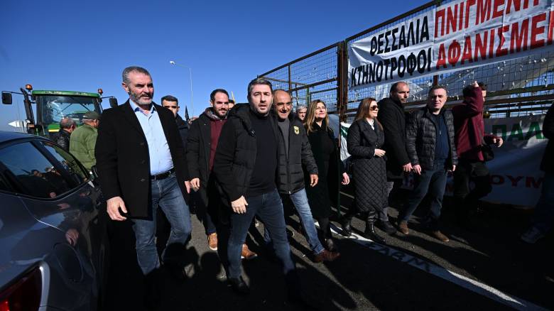 Ανεπιφύλακτη στήριξη Ανδρουλάκη στους αγρότες εν μέσω κόντρας με ΝΔ: Οι προτάσεις του ΠΑΣΟΚ