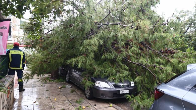 Θεσσαλονίκη: Δέντρο έπεσε στη Χαριλάου και καταπλάκωσε σταθμευμένα αυτοκίνητα