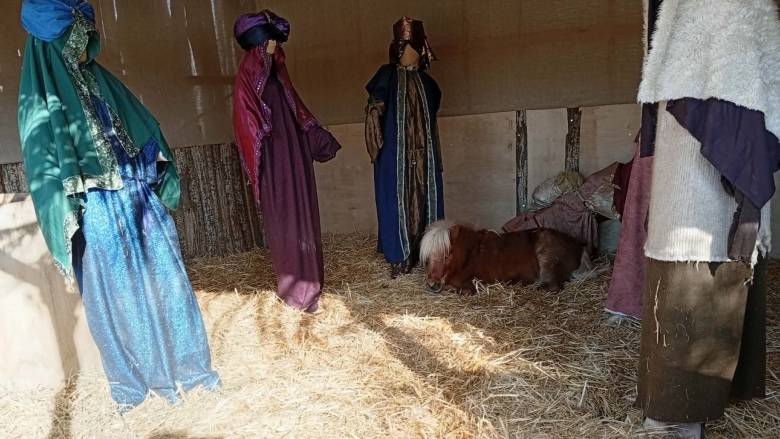 Βόλος: Αντιδράσεις από φιλόζωους για το ζωντανό αλογάκι πόνυ σε φάτνη