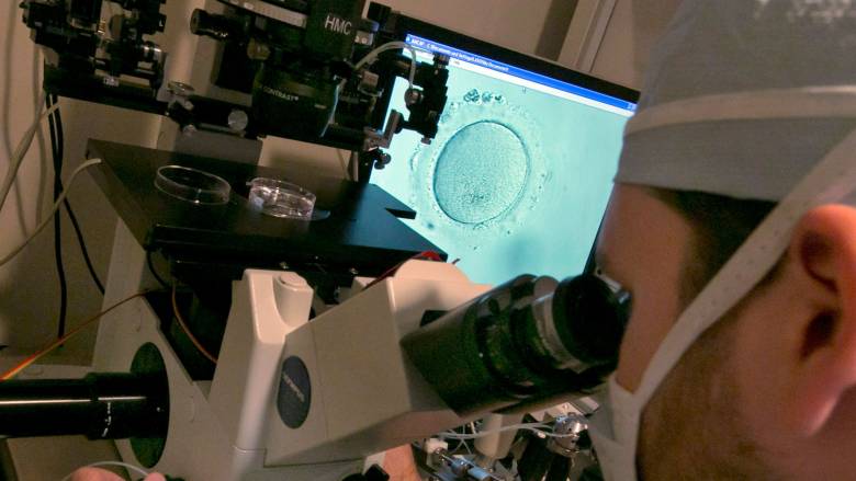 Γιατί οι δωρητές σπέρματος έχουν εκατοντάδες παιδιά - To «σπέρμα των Βίκινγκ» και οι κίνδυνοι