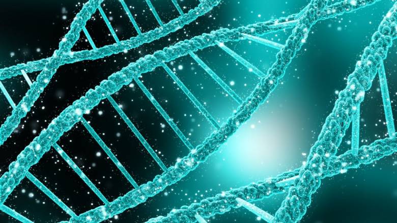 «Κασέτα DNA» αποθηκεύει έως και 1,5 εκατ. φορές περισσότερα δεδομένα από ένα smartphone