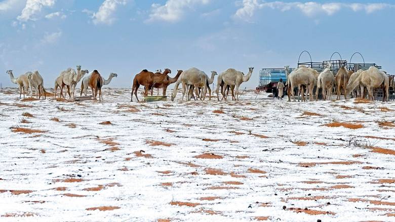 Στα λευκά «ντύθηκαν» Σαουδική Αραβία και Κατάρ - Εντυπωσιακές εικόνες με χιόνια σε αμμόλοφους
