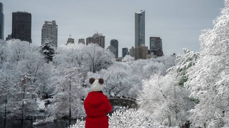 Επίσημα χειμώνας στη Νέα Υόρκη: «Ντύθηκε» στα λευκά το Central Park - Εντυπωσιακές εικόνες