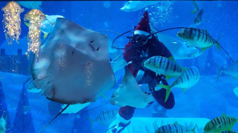 Από την Κύπρο, μέχρι τη Βραζιλία: «Υποβρύχιοι» Άη Βασίληδες στέλνουν από τον βυθό ευχές