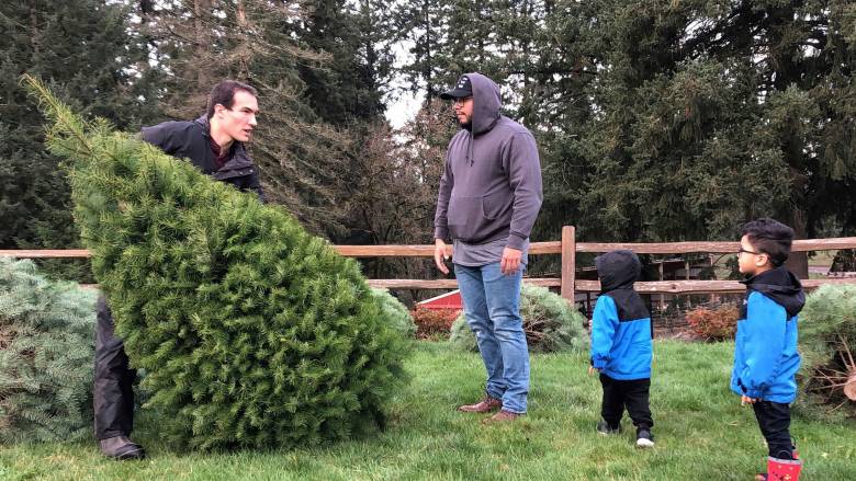 Γιατί τα αληθινά χριστουγεννιάτικα δέντρα είναι δημοφιλή σε πάρκα άγριας ζωής