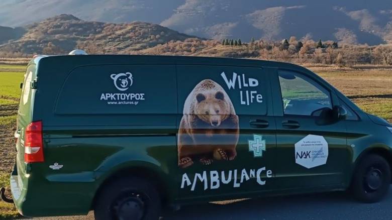 Ο Αρκτούρος αποκτά το πρώτο ασθενοφόρο για αρκούδες, λύκους, ζαρκάδια και ελάφια