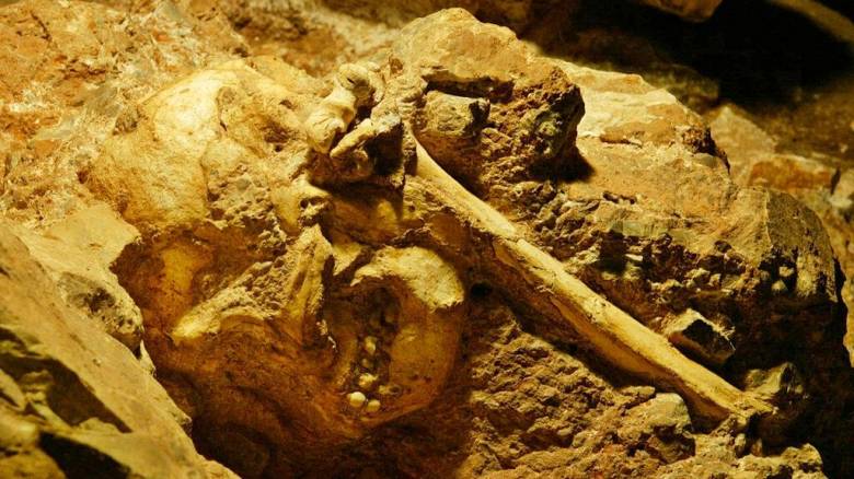 Νέα έρευνα κοντά στον αρχαιότερο πρόγονο της ανθρωπότητας - Έζησε πριν από επτά εκατ. χρόνια