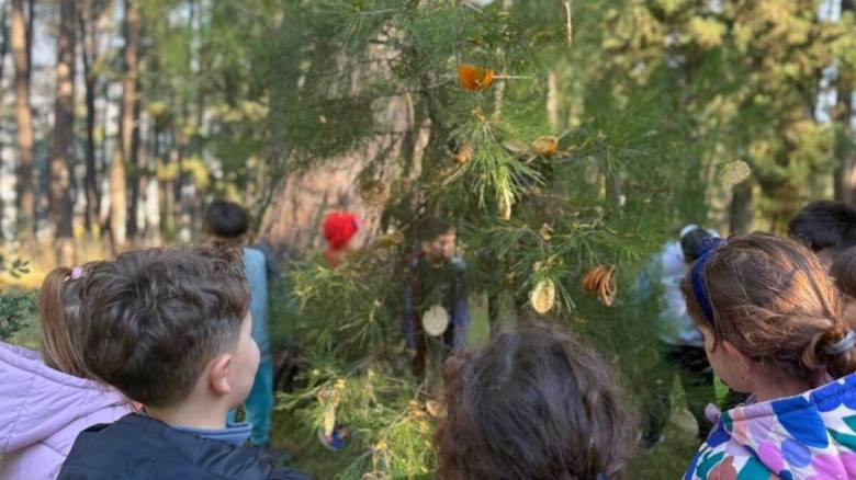 Μαθητές γεμίζουν «δεντρο-λιχουδιές» σχολικές αυλές, πάρκα και μικρά δάση