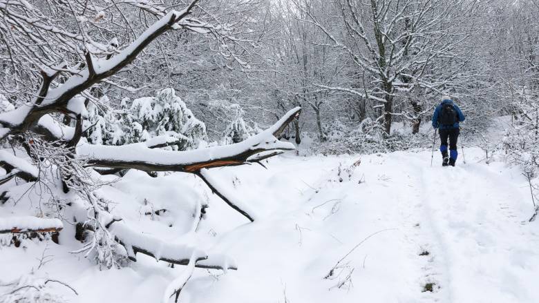 Σοβαρά προβλήματα στη Φθιώτιδα λόγω κακοκαιρίας: Χωρίς ρεύμα περιοχές - Χιόνια στην Ευρυτανία