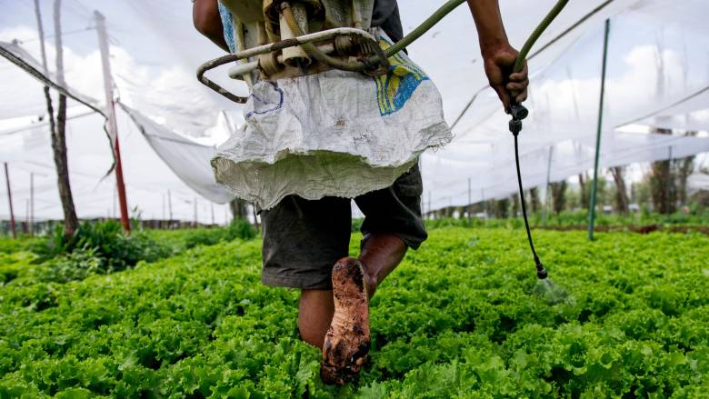 Ποιοι έκαναν limit up «μετοχών» και ποιοι είχαν... απώλειες από τη συμφωνία ΕΕ - Mercosur