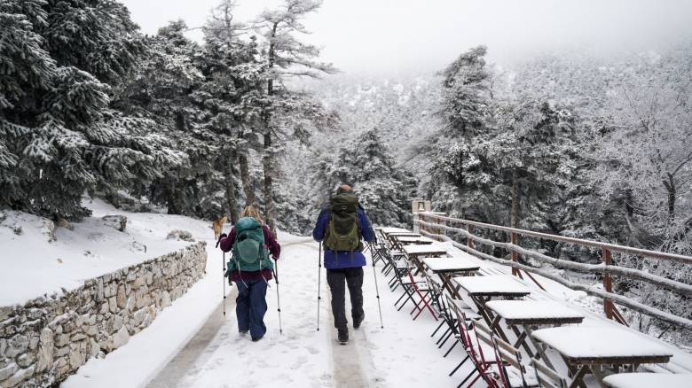 Ντάφης στο CNN Greece: Δραματική μείωση του χιονιού στην Ελλάδα - 25 μέρες λιγότερες χιονοκάλυψης