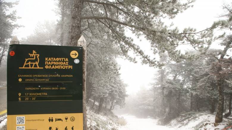 Στα «λευκά» Ηλεία, Μεσσηνία και Σέρρες: Χιονίζει σε Βίλια και Πάρνηθα - Εντυπωσιακά πλάνα