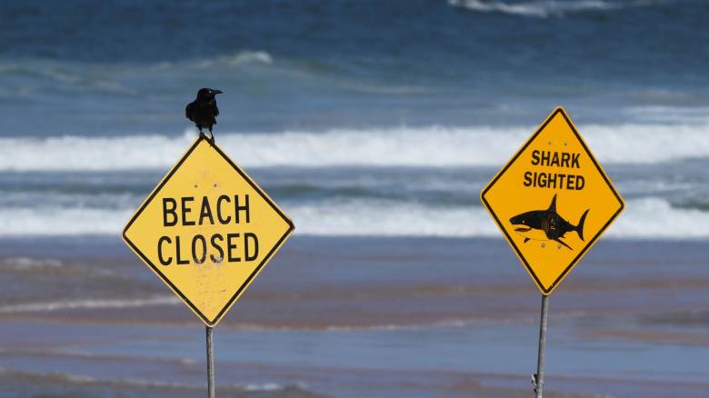 Στο νοσοκομείο 13χρονος μετά από επίθεση από καρχαρία στην Αυστραλία