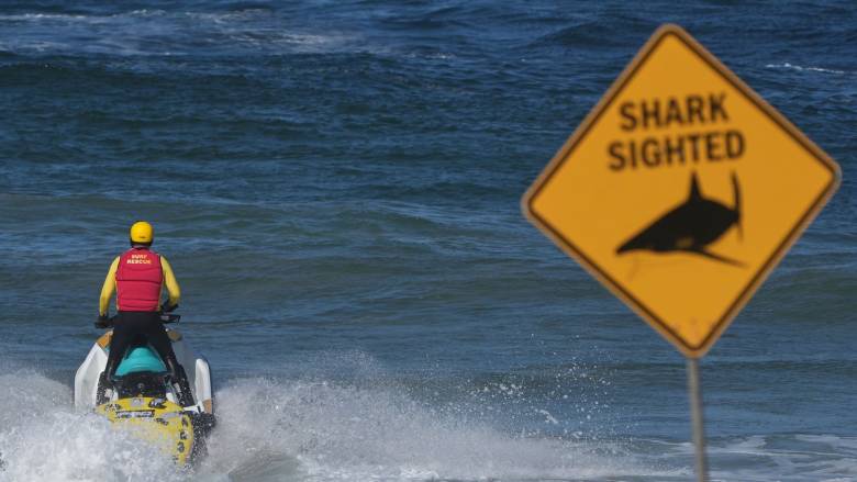 Τέταρτη επίθεση καρχαρία μέσα σε 48 ώρες στην Αυστραλία - Τραυματίστηκε σέρφερ