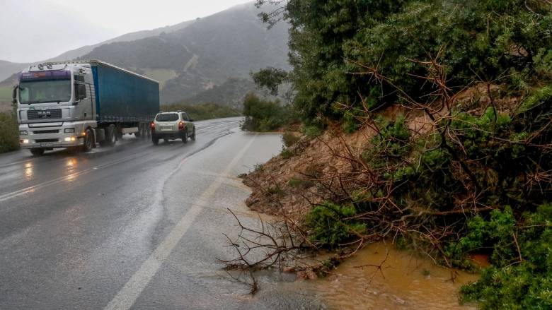 Κρήτη: Θυελλώδεις άνεμοι στο Ηράκλειο - Έπεσαν δέντρα, διακοπές στην ηλεκτροδότηση