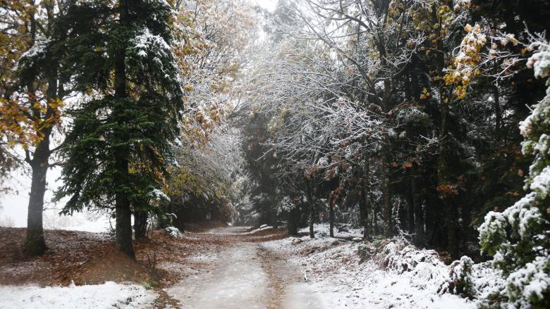 Έντονη χιονόπτωση στα ορεινά της Καρδίτσας - Υποχρεωτικές οι αντιολισθητικές αλυσίδες