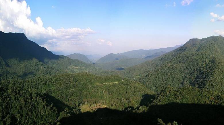 Επιστήμονες ανακαλύπτουν ξανά στο Περού ζώο που δεν είχε παρατηρηθεί εδώ και 150 χρόνια