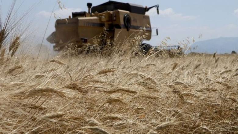 Πώς υποβάλλεται από παραγωγούς, αγρότες και κτηνοτρόφους η Ενιαία Αίτηση Ενίσχυσης