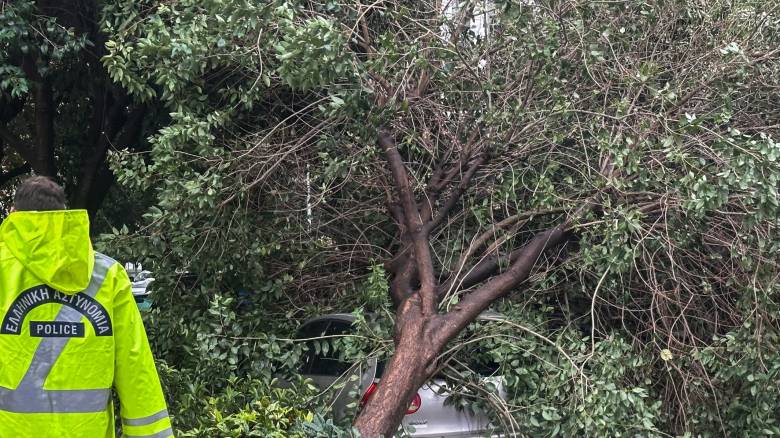 Θεσσαλονίκη: Πάνω από 15 κλήσεις στην Πυροσβεστική για πτώσεις δέντρων και αντικειμένων λόγω ανέμων