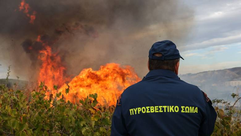 Φωτιά σε πτηνοτροφική μονάδα στην Αχαΐα - Αναφορές για εκρήξεις