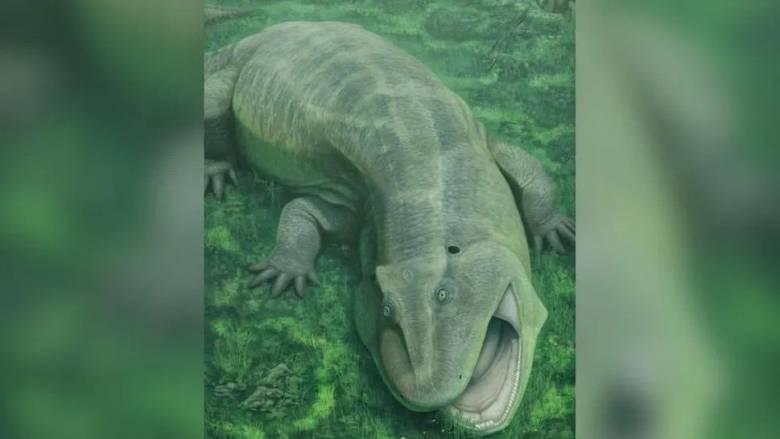 Νέο είδος παράξενου προϊστορικού ζώου θεωρούταν ήδη «ζωντανό απολίθωμα» πριν από 275 εκατ. χρόνια