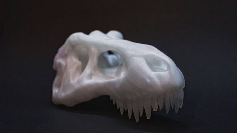 Επιστήμονες εντόπισαν νέο είδος ζώου που έζησε πριν 100 εκατ. χρόνια στην Ισπανία