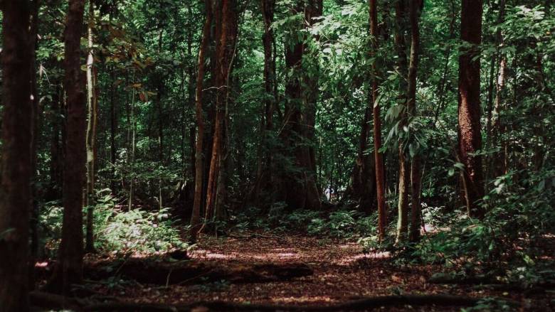 Αχαΐα: 62χρονος πέθανε από ακατάσχετη αιμορραγία όταν τραυματίστηκε κατά λάθος με τσεκούρι