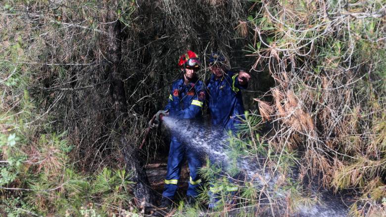 Φωτιά στη Βιάννου Κρήτης: Μακριά από κατοικημένη περιοχή το μέτωπο της πυρκαγιάς