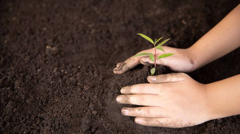 Δεκάδες αρωματικά φυτεύτηκαν στο Ρέθυμνο από μικρούς μαθητές - Όταν η δράση, γίνεται συνείδηση