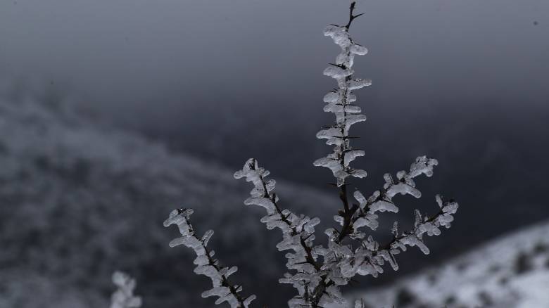 Στα λευκά η Ελλάδα και τον Μάρτιο: Χιόνια σε ορεινές περιοχές και στην Κέρκυρα- Εντυπωσιακές εικόνες