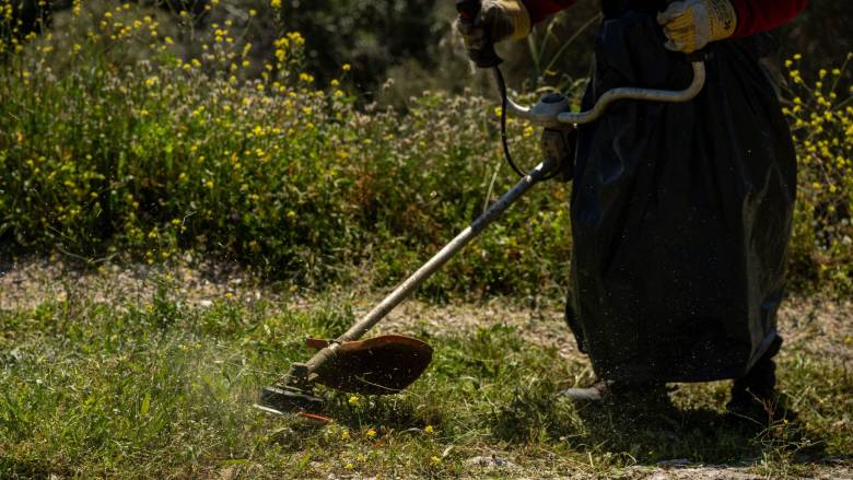 Πότε ξεκινούν οι υποχρεωτικοί καθαρισμοί οικοπέδων - Έως και 2.000 το πρόστιμο