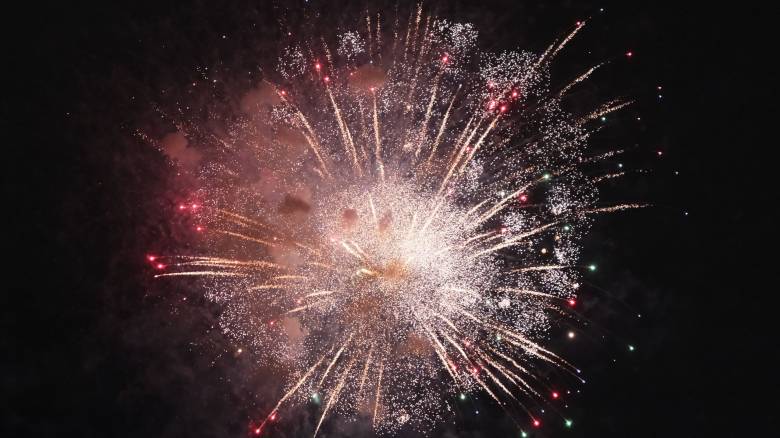 «Τέλος» στα θορυβώδη πυροτεχνήματα που «τραυματίζουν» ζώα και περιβάλλον ζητά η ΝΕΜΕΣΙΣ