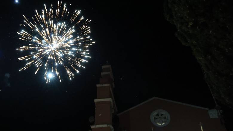 Ζώα και κροτίδες: Πώς μπορεί να ηρεμήσει κάποιος το κατοικίδιό του